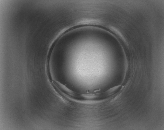 X0000070161277200605261120