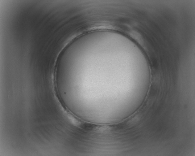 X0000070161282200605261120