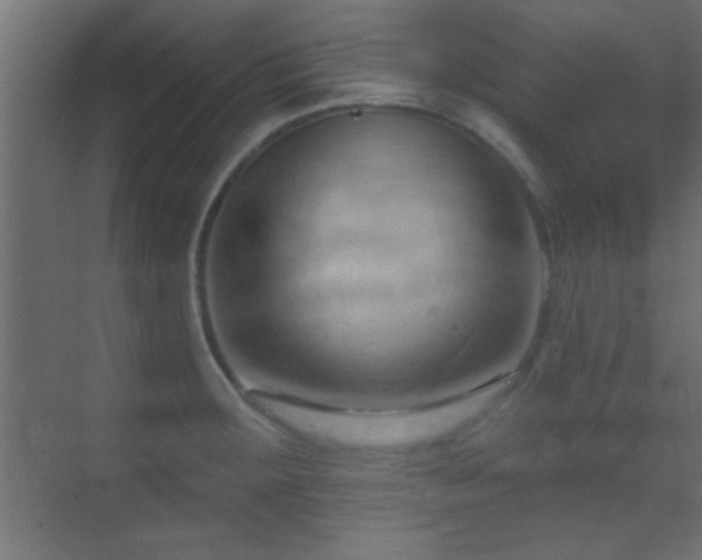X0000070161283200605261120
