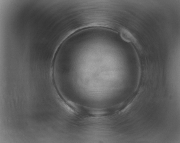 X0000070161284200605261120