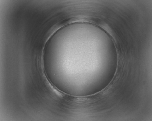 X0000070161290200605261120