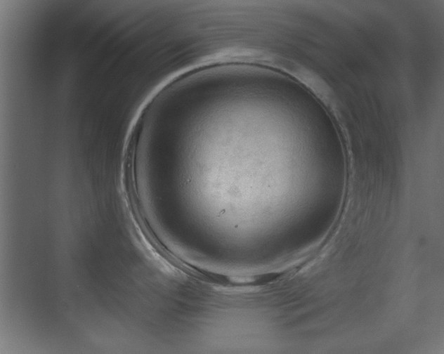 X0000070161296200605261120