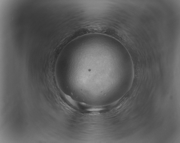 X0000070161297200605261119