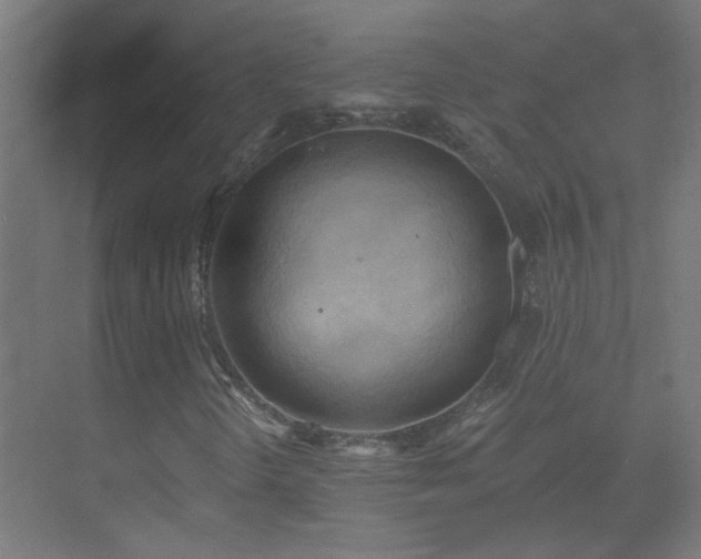 X0000070161298200605261119