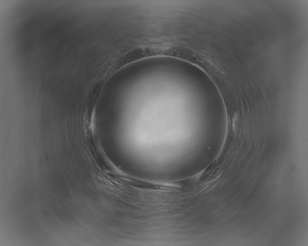 X0000070161299200605261119