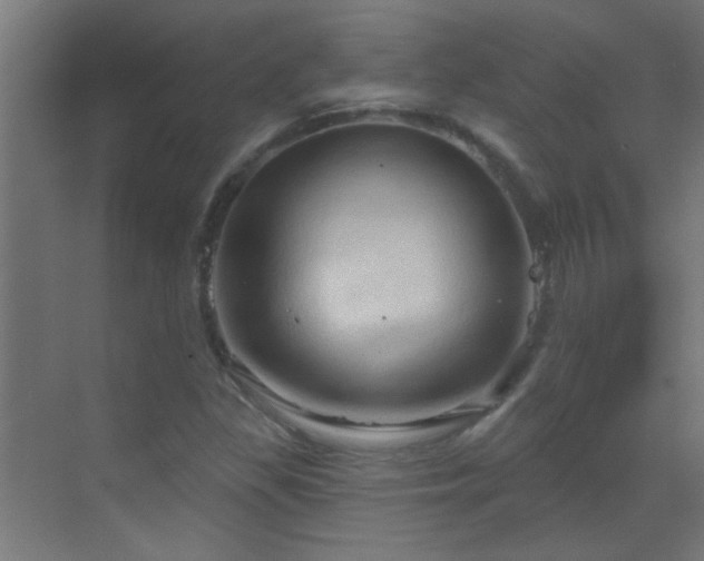 X0000070161309200605261119