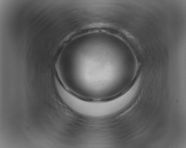 X0000070161313200605261119
