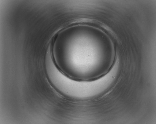 X0000070161321200605261120