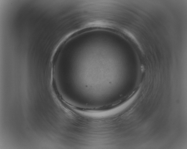 X0000070161323200605261120