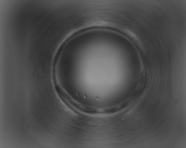 X0000070161326200605261120