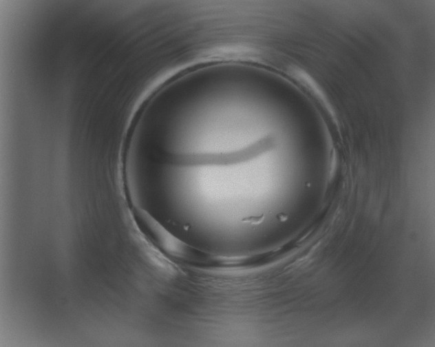 X0000070161336200605261120