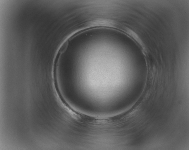 X0000070161339200605261120