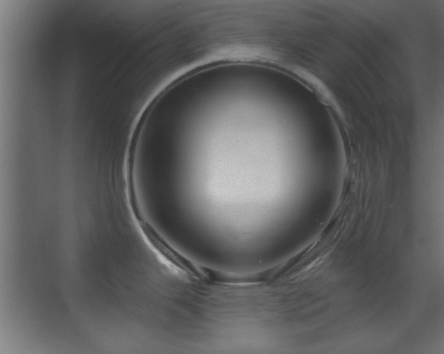 X0000070161343200605261120