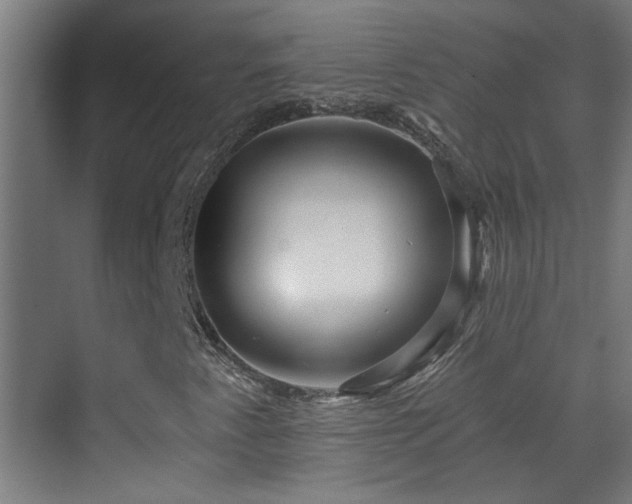 X0000070161345200605261119