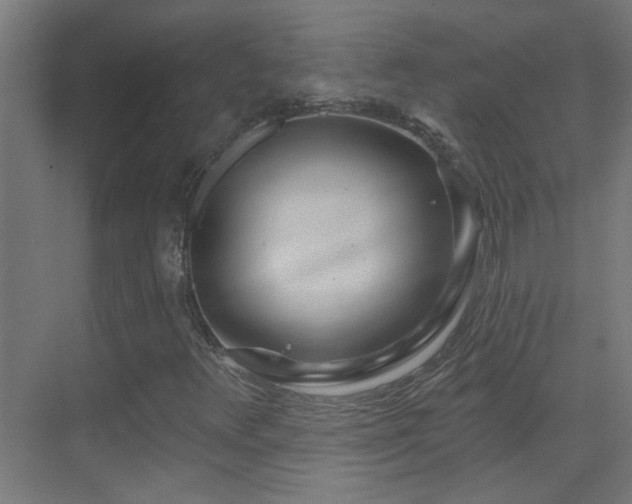 X0000070161348200605261119