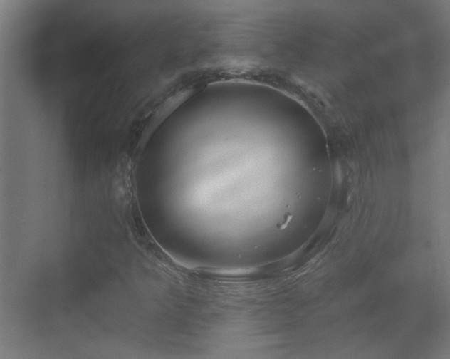 X0000070161349200605261119