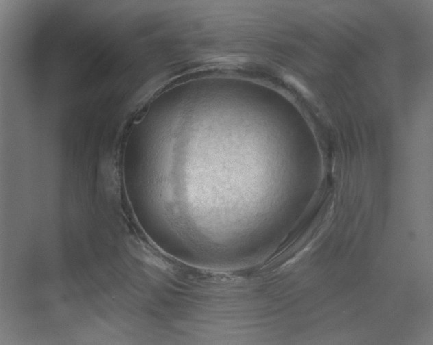 X0000070161354200605261119