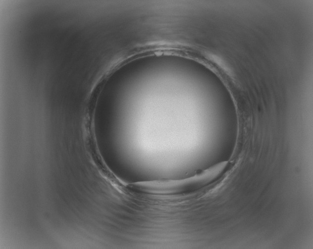 X0000070161357200605261119