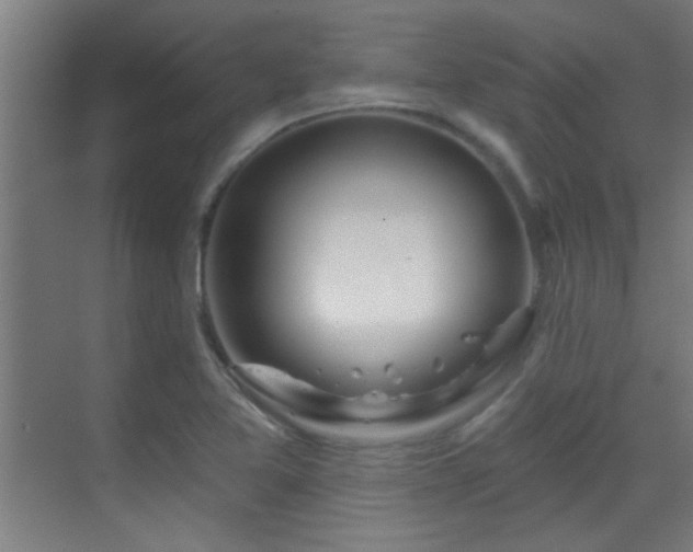 X0000070161365200605261119