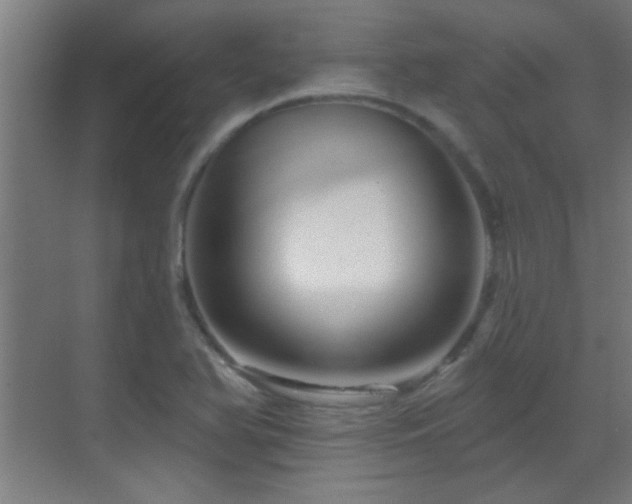 X0000070161366200605261119