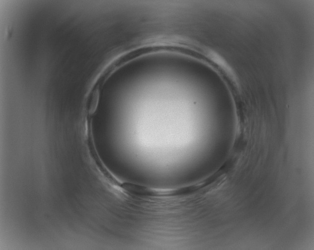 X0000070161368200605261119