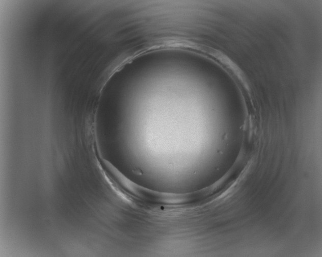 X0000070161385200605261118