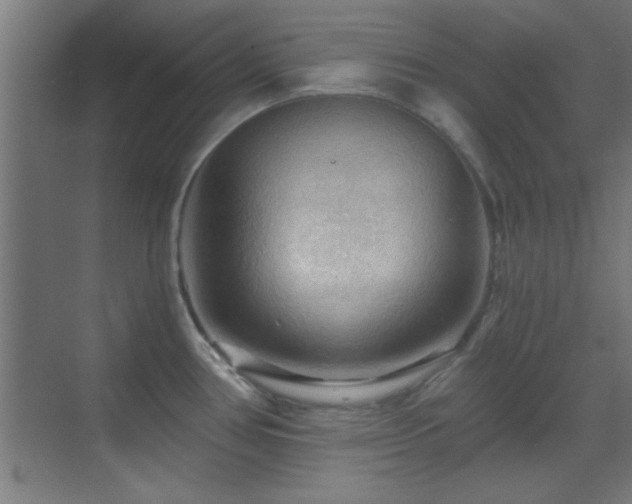 X0000070161386200605261118
