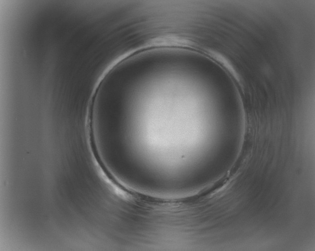 X0000070161387200605261118