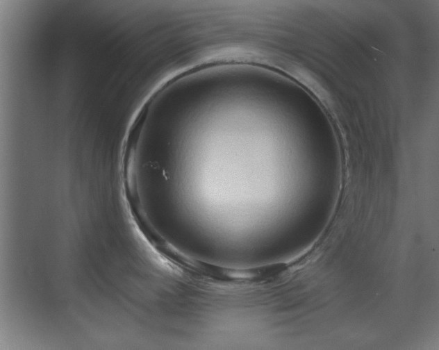 X0000070161392200605261118