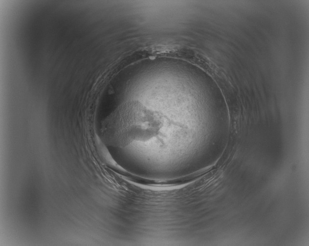 X0000070161393200605261118