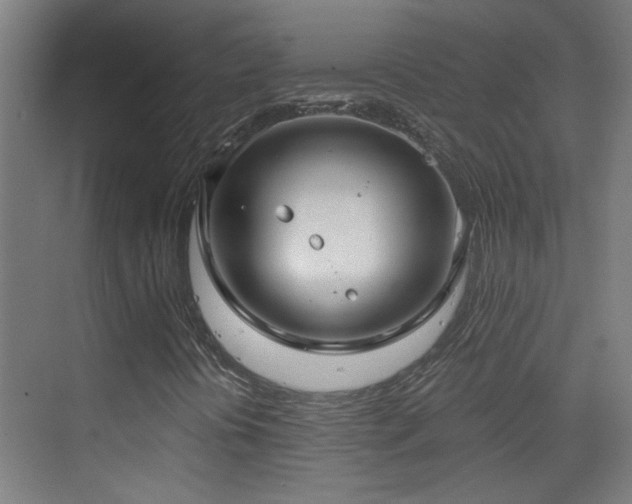 X0000070161394200605261118