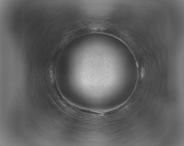 X0000070161396200605261118