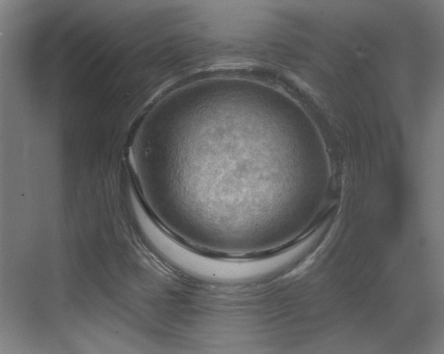 X0000070161401200605261118