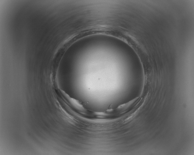 X0000070161402200605261118