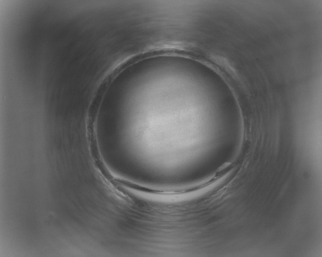 X0000070161404200605261118