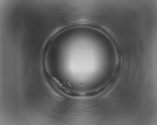 X0000070161410200605261118