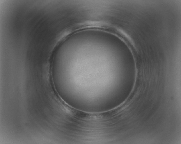 X0000070161411200605261118