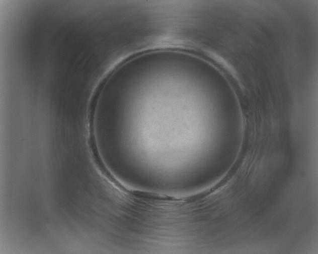 X0000070161415200605261118