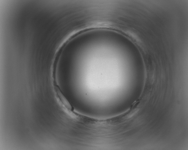 X0000070161422200605261118