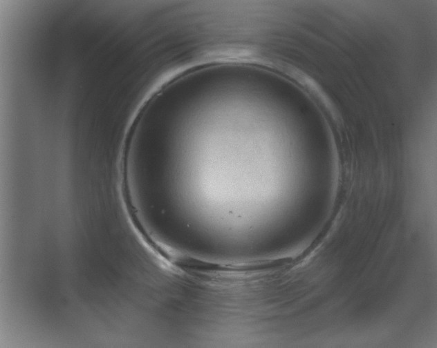 X0000070161432200605261118