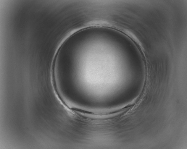 X0000070161440200605261118