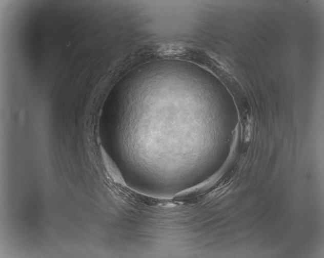 X0000070161441200605261118