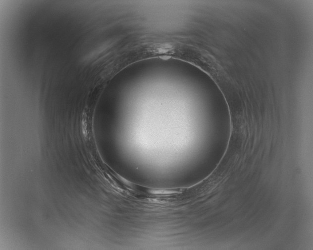 X0000070161442200605261118