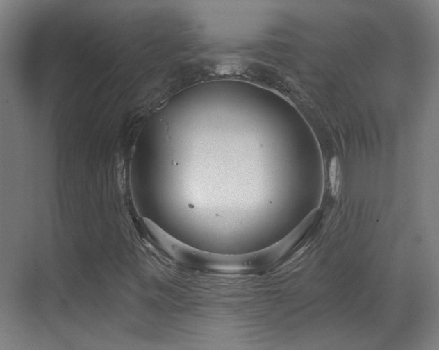 X0000070161443200605261118