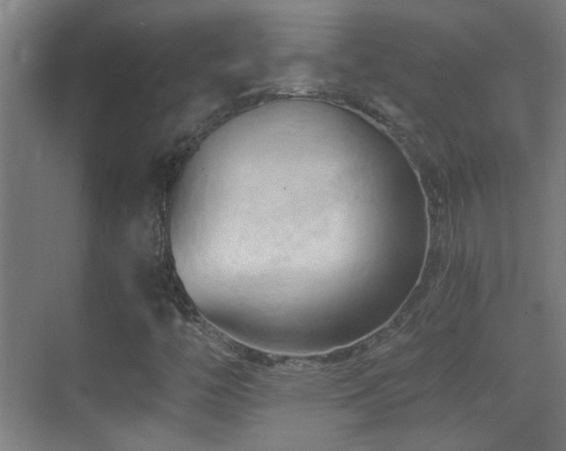 X0000070161446200605261117