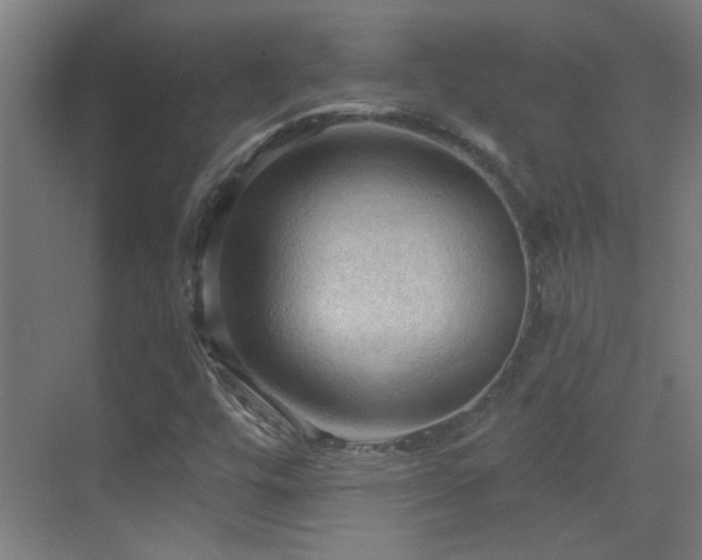 X0000070161448200605261117