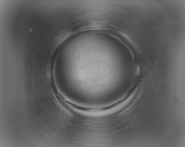 X0000070161450200605261117