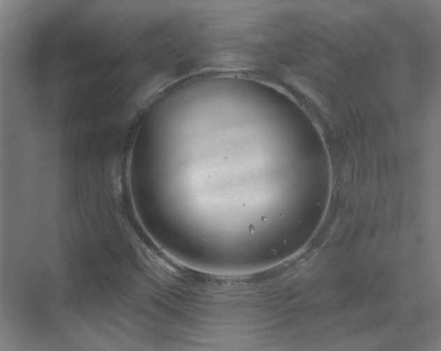 X0000070161451200605261117