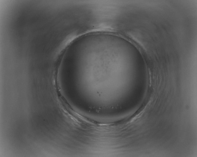 X0000070161455200605261117
