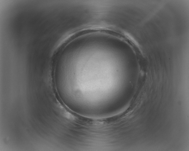X0000070161456200605261117